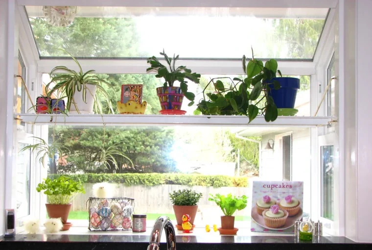 How To Create a Kitchen Garden You Can Manage