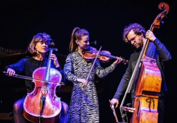 Community Profile: ConFuse Music Series