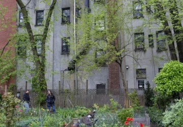 How Community Gardens Spark Joy and Strengthen Ties