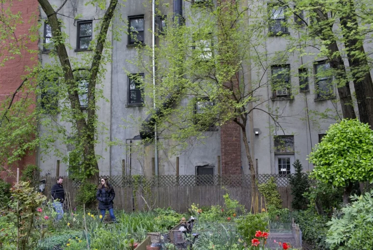How Community Gardens Spark Joy and Strengthen Ties